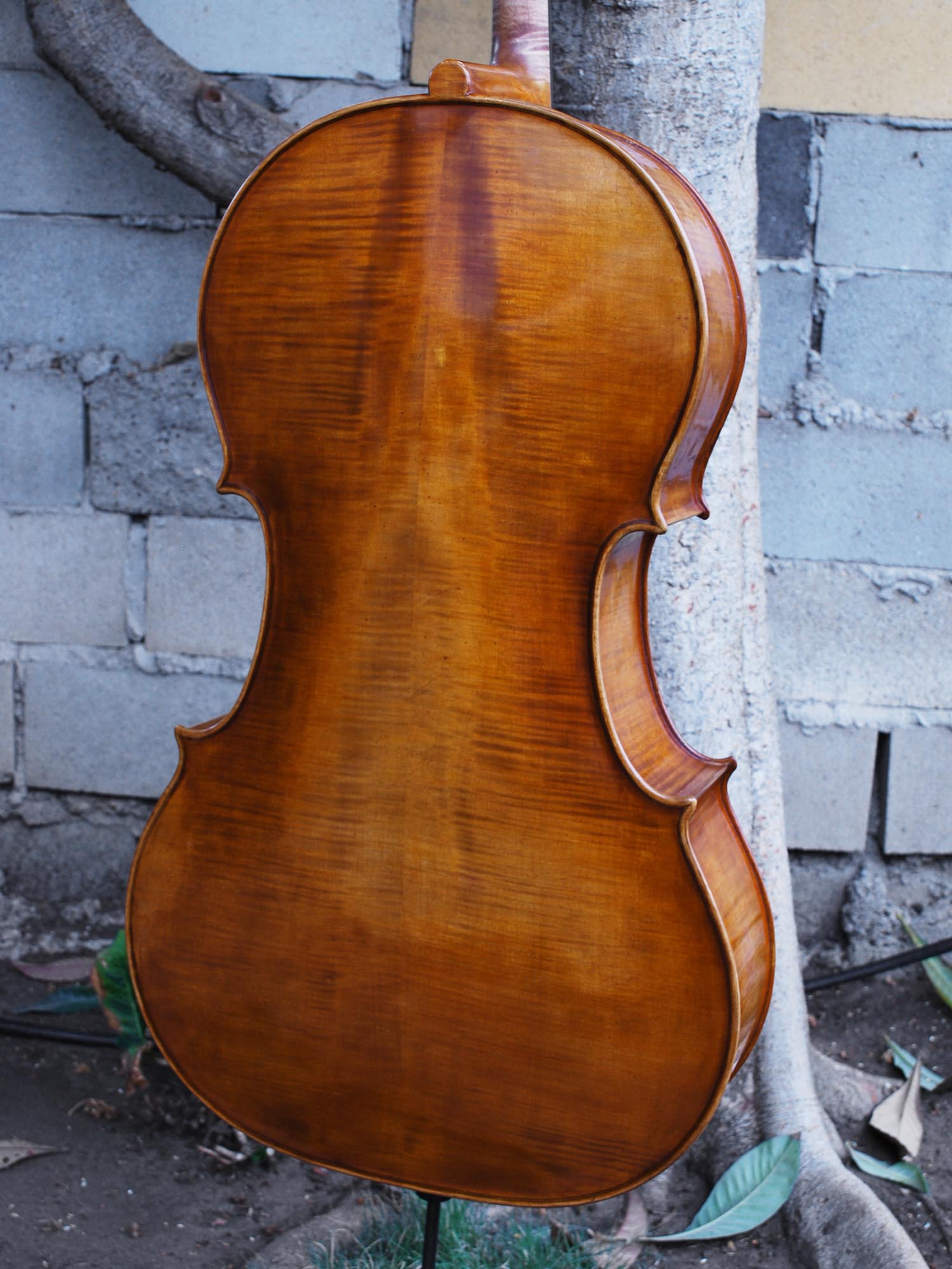 Jan Szlachtowski Master Level 'Gofriller' 4/4 Cello | Linda West Cellos
