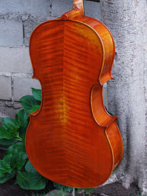 Eastman model 405 3/4 Cello