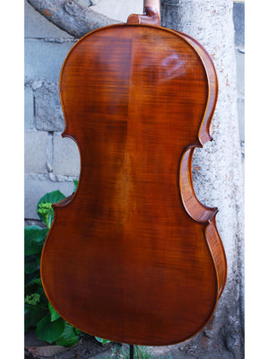 Eastman Advanced Series model 405 'Stradivarius' 4/4 Cello
