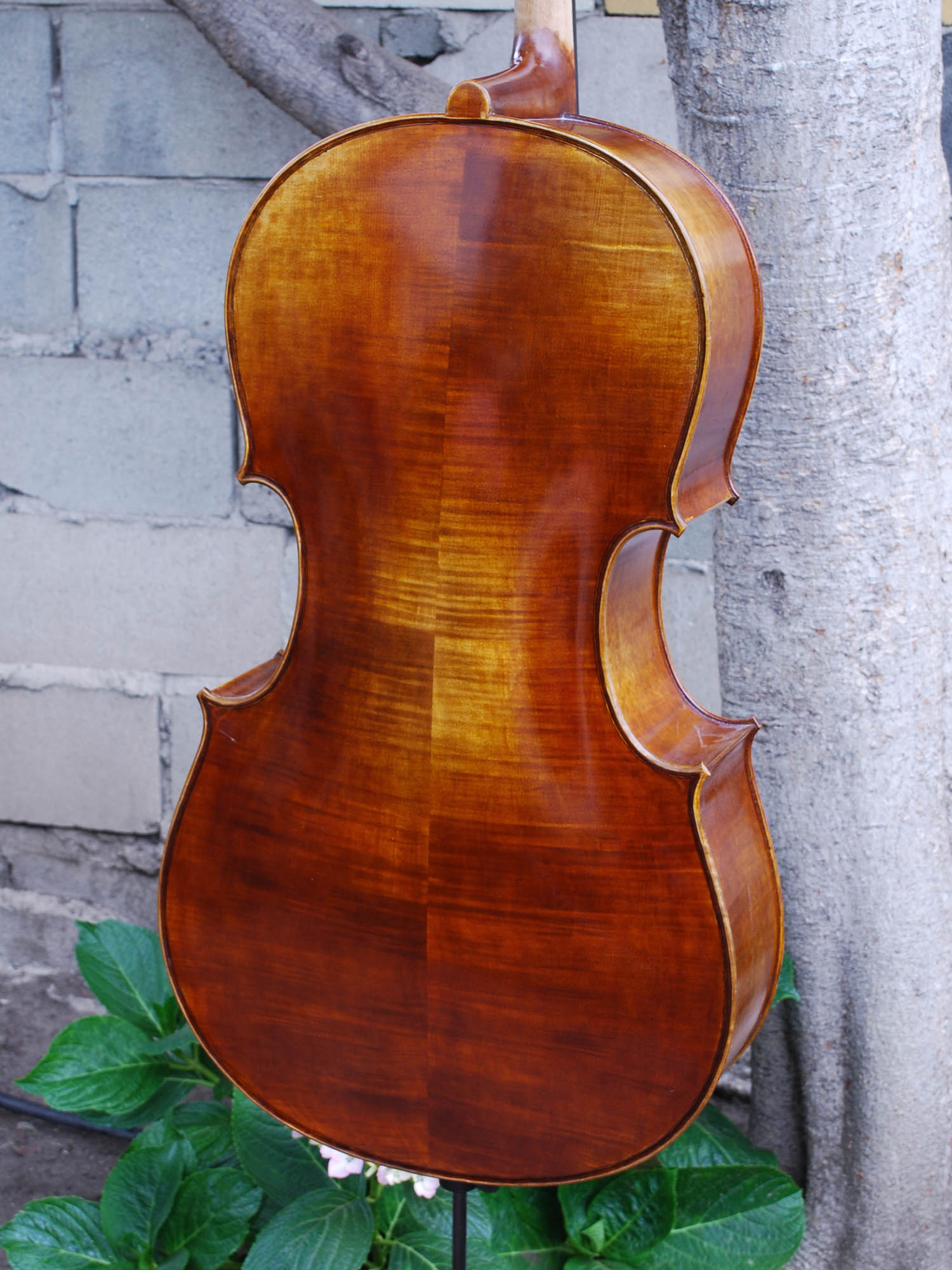 Johannes Seibert model 400 3/4 Cello