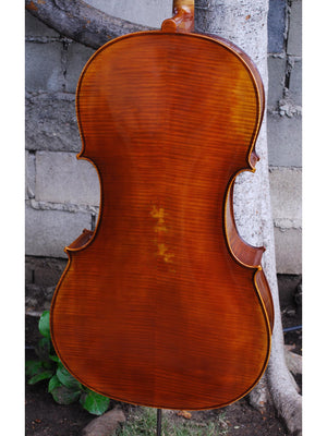 Salvatore Callegari 'Gofriller 1693' Master Copy 4/4 Cello