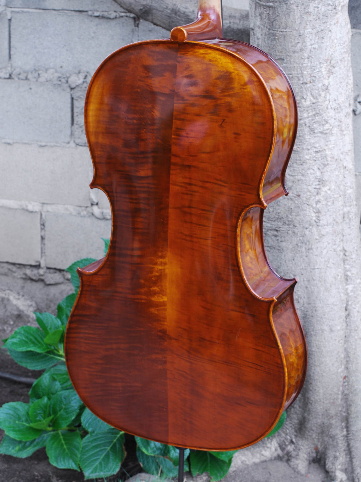 C.L. Wynn 520 'Rogeri' 4/4 Cello