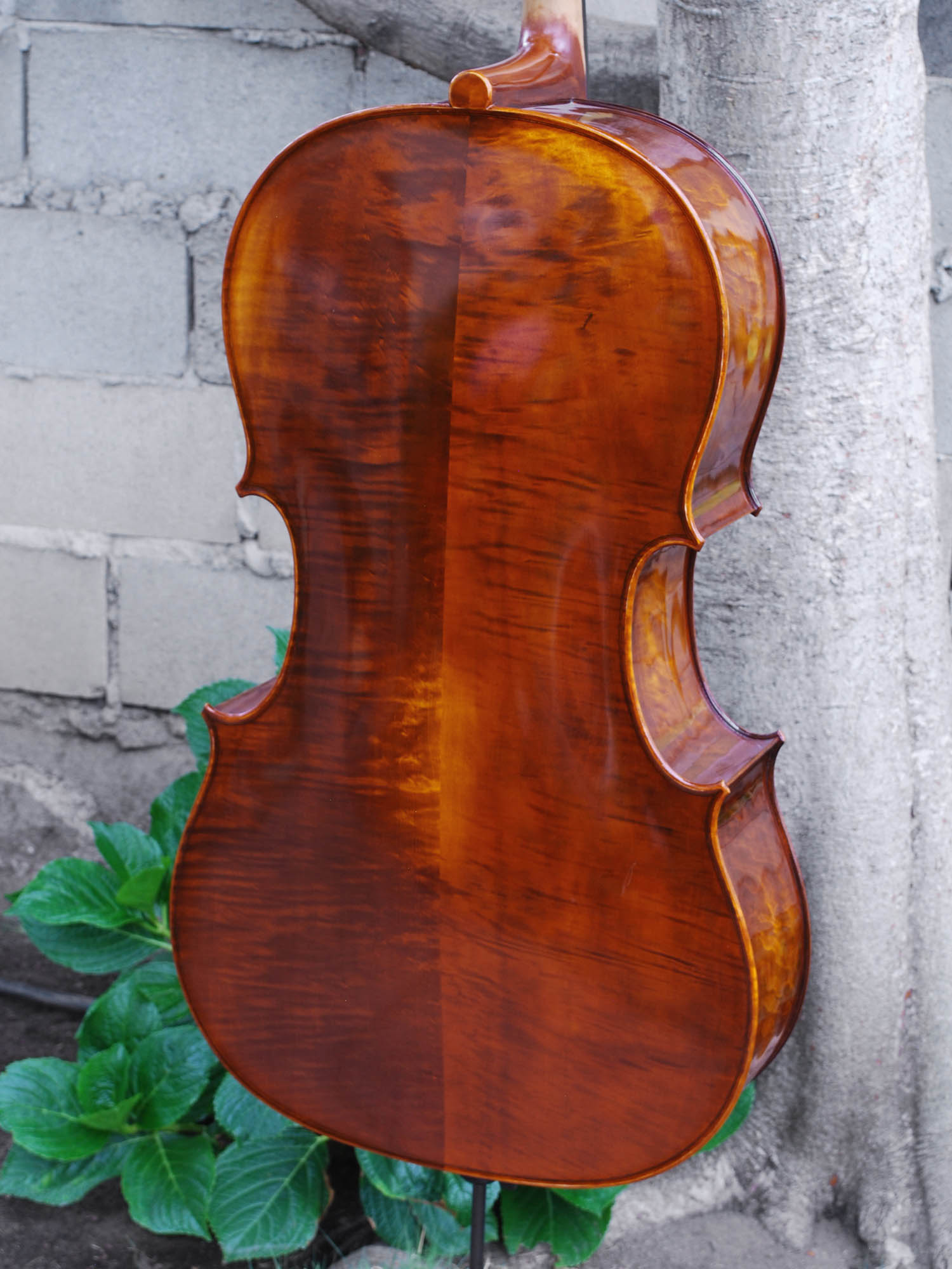 C.L. Wynn 520 'Rogeri' 4/4 Cello