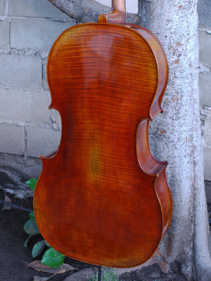 Vivo Eurowoods 7/8 Cello