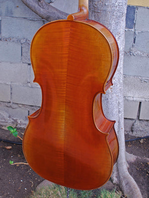 Vivo Limited Eurowoods 'Stradivari' 4/4 Cello