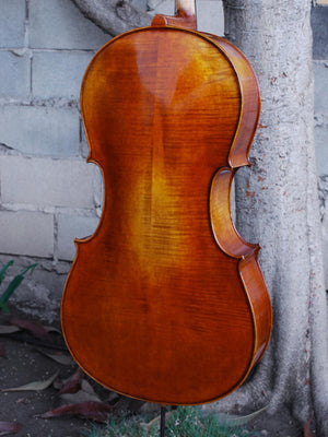 Johannes Seibert model 600 - 4/4 Cello (B)