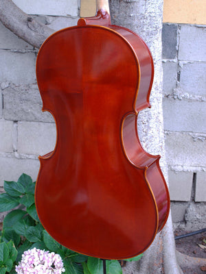 Johannes Seibert model 250 3/4 Cello