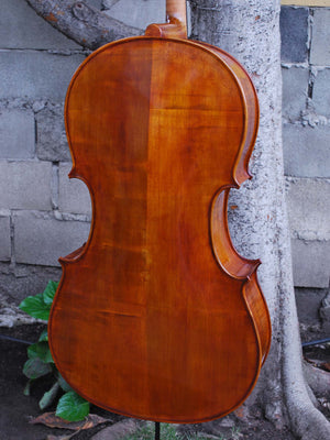 Eastman model 830 with Italian Poplar 4/4 Cello