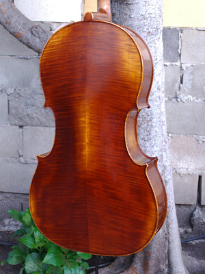 Scott Cao STC600 -  3/4 Cello Used