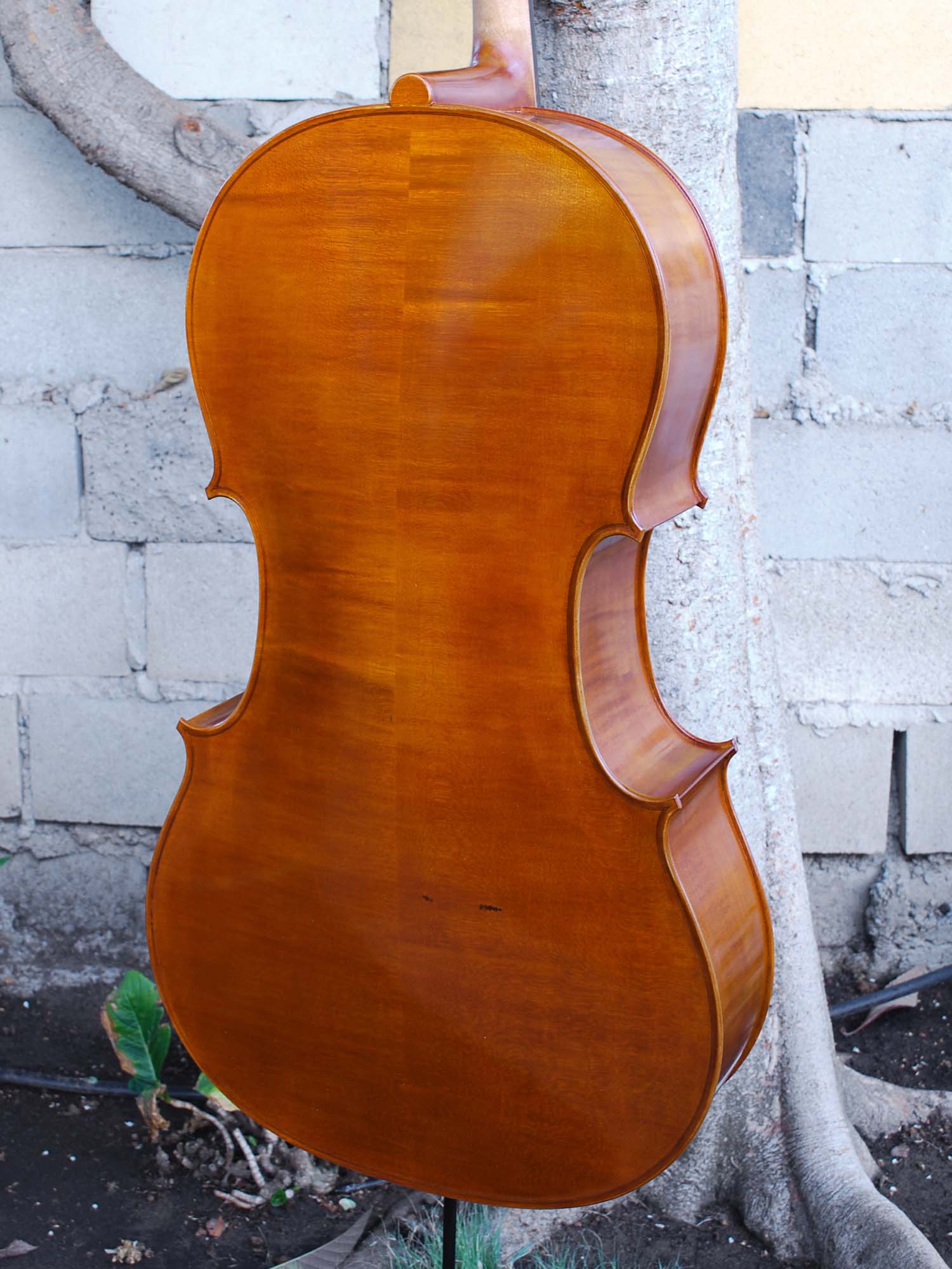 Calin Wultur Model #5 Piatti Strad 4/4 Cello