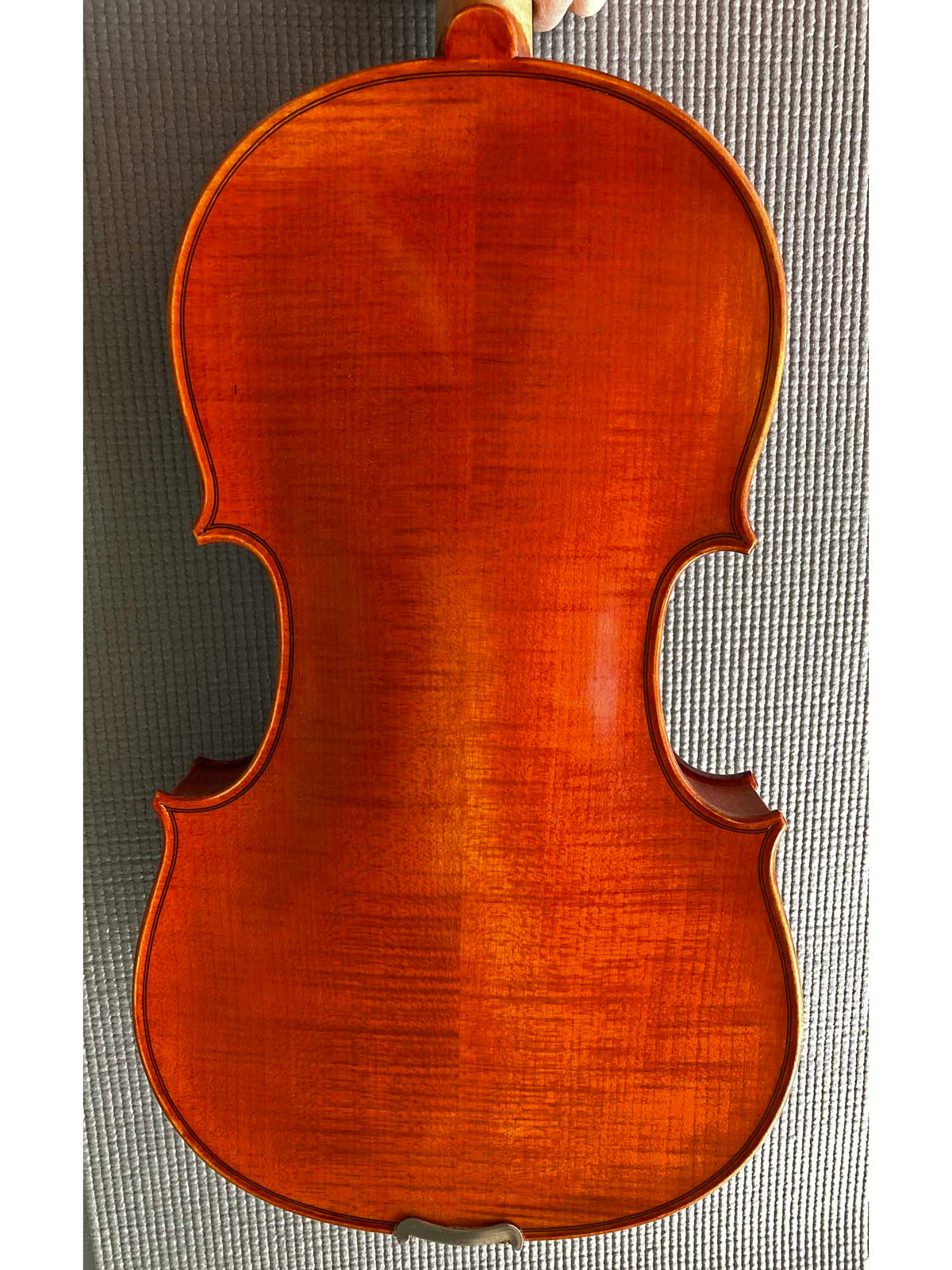 Regh 500 15 1/2" Viola