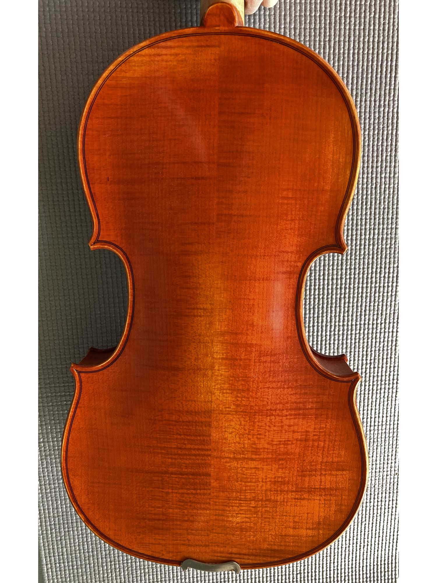 Regh 500 15 1/2" Viola