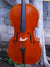Galileo Arcellaschi 1960 4/4 Cello