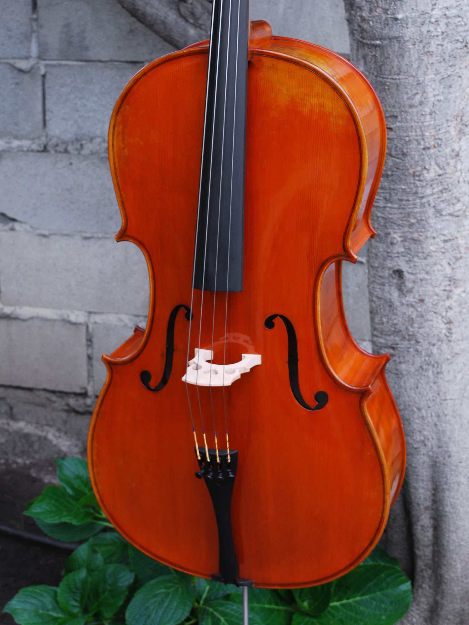 Eastman model 405 3/4 Cello
