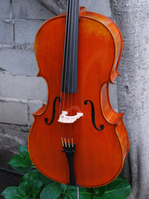 Eastman model 405 3/4 Cello