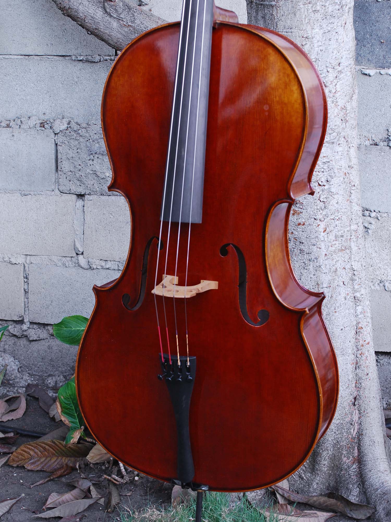 Johannes Seibert model 700 'Master' - 4/4 Cello (A)