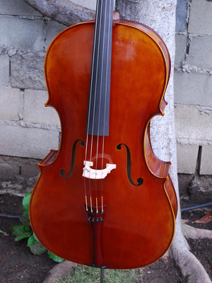 Salvatore Callegari 'Gofriller 1693' Master Copy 4/4 Cello