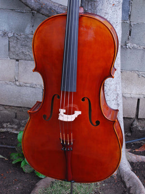 Salvatore Callegari 'Gofriller 1693' Master Copy 4/4 Cello