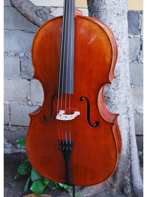 Alessandro model 220 7/8 Cello