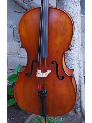 Eastman model 830 Maple 4/4 Cello