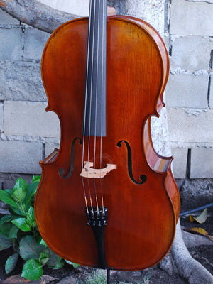 Vivo Eurowoods 7/8 Cello