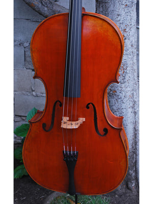 Albert Nebel model 601 'Guarneri del Gesu' - 4/4 Cello (A)