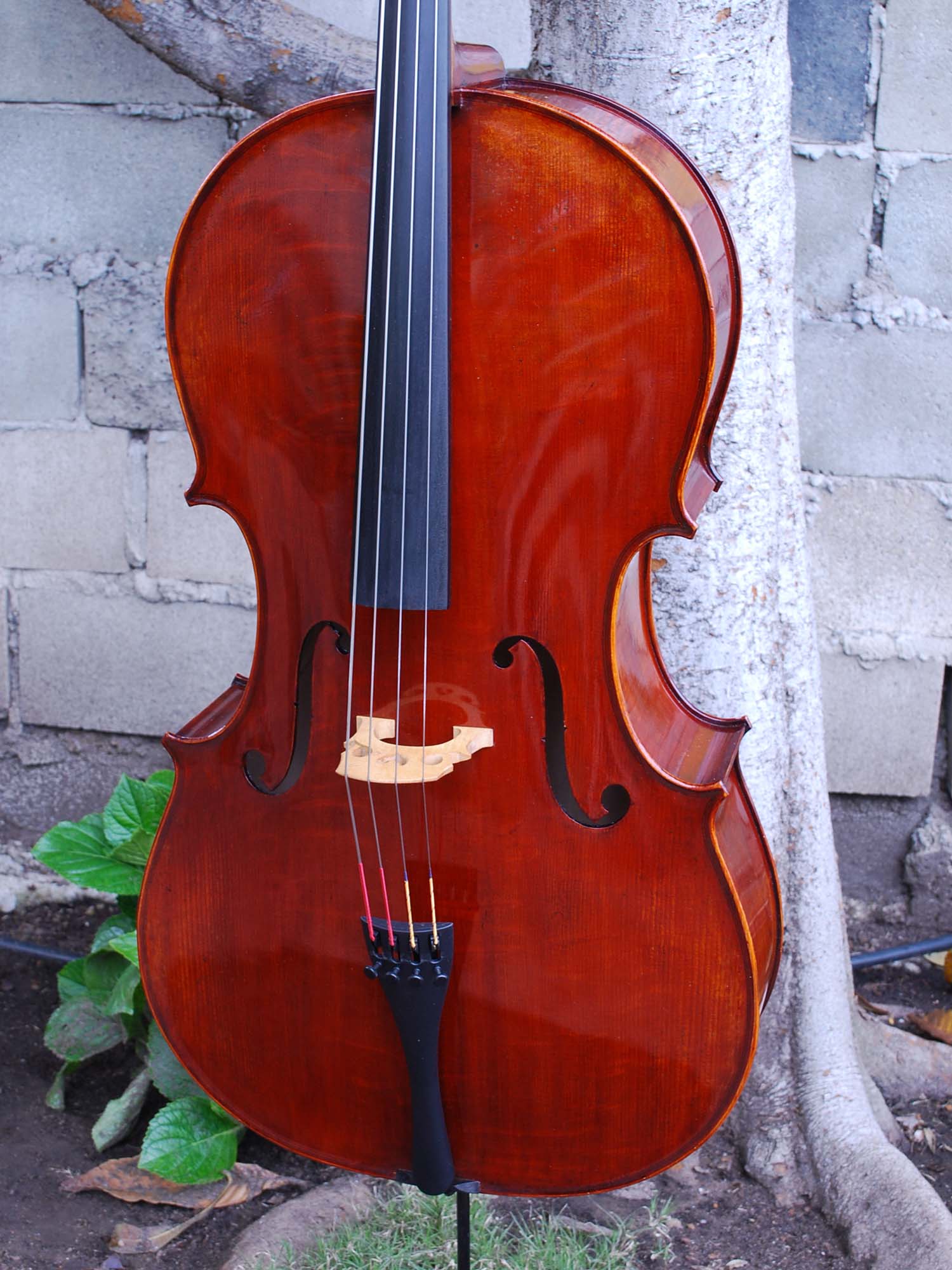 Jean-Pierre Lupot 'Strad' model 501 - 4/4 Cello (B)