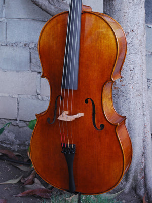 Johannes Seibert model 600 - 4/4 Cello (B)