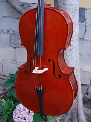 Johannes Seibert model 250 3/4 Cello