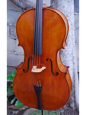 Eastman model 830 with Italian Poplar 4/4 Cello