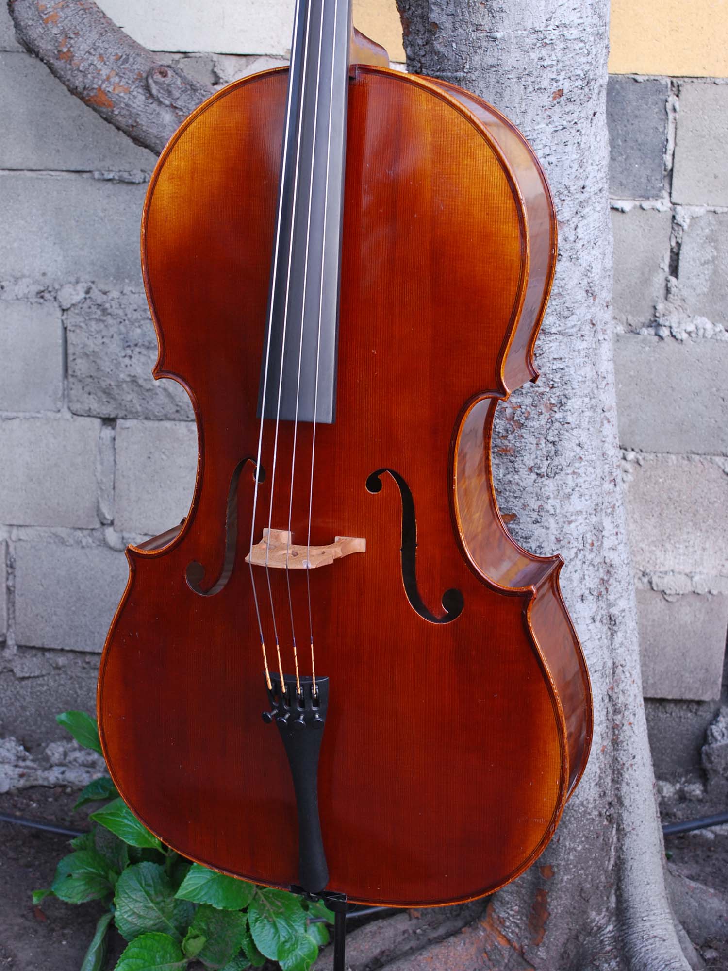 Scott Cao STC600 -  3/4 Cello Used
