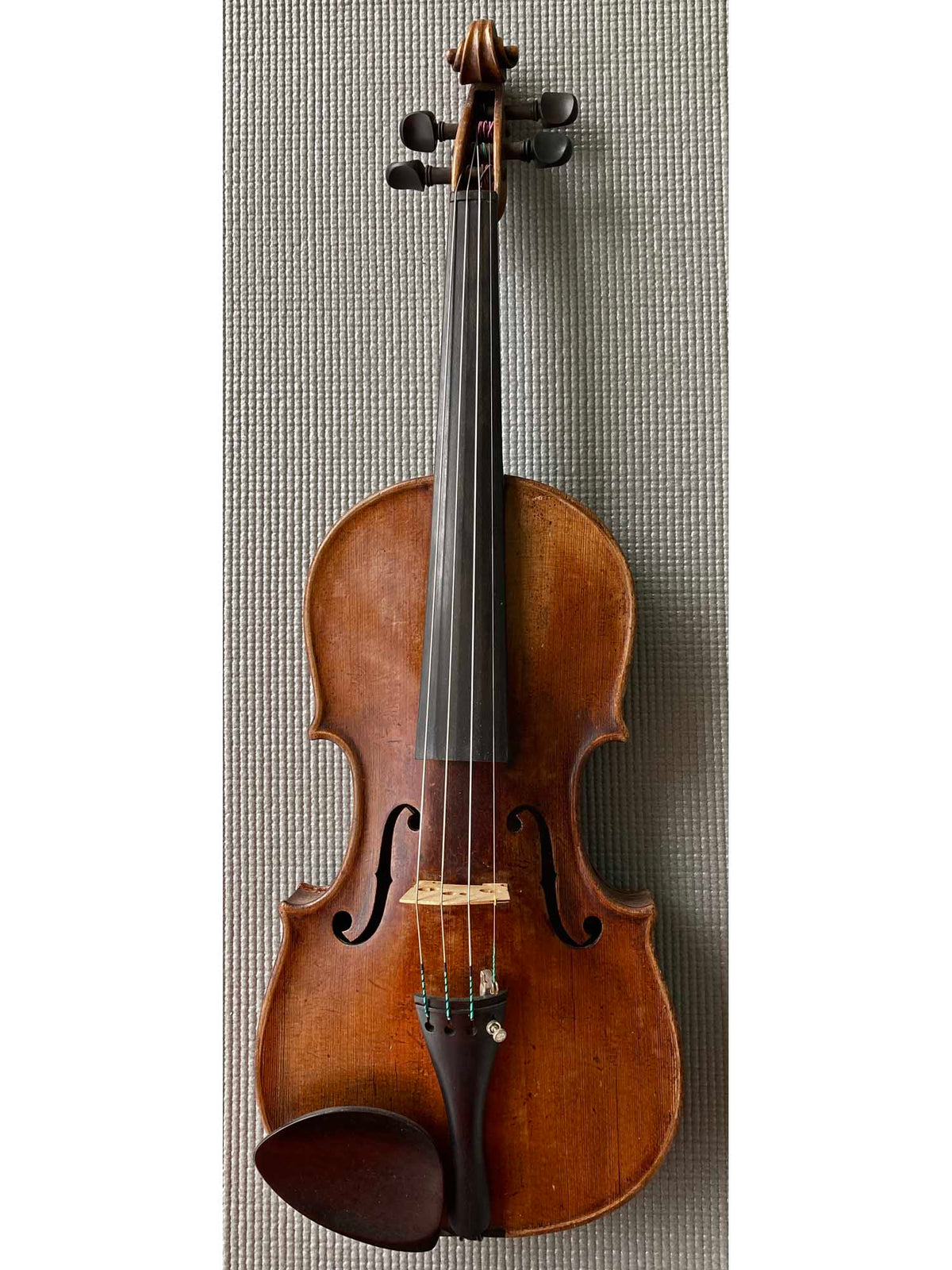 Amatus 4/4 Violin