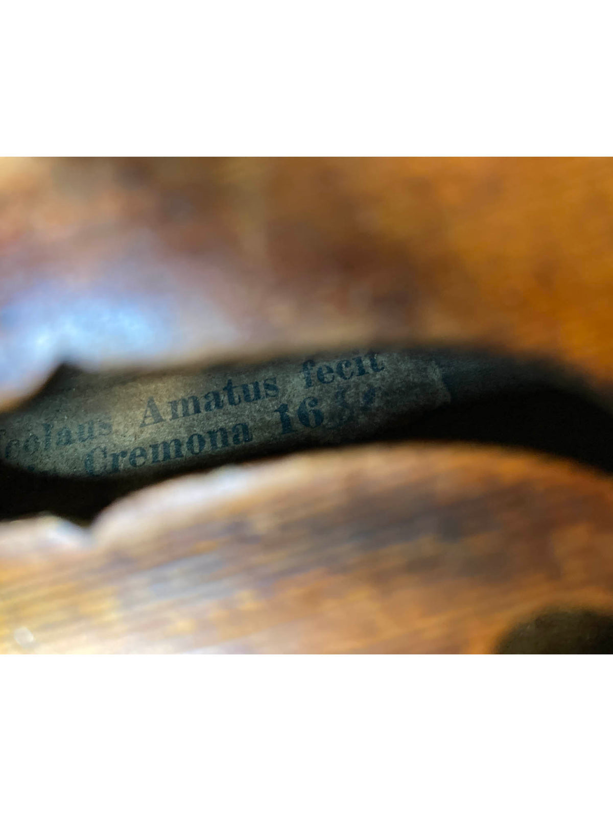 Amatus 4/4 Violin