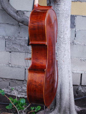 Eastman model 305 1/2 Cello Used