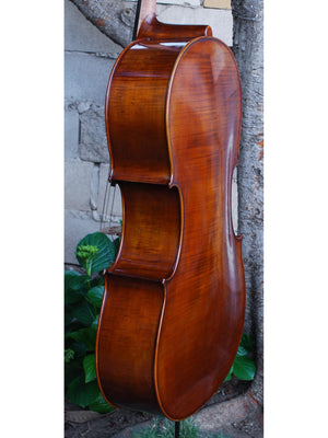 Eastman Advanced Series model 405 'Stradivarius' 4/4 Cello