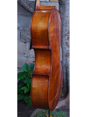 Eastman model 830 Maple 4/4 Cello