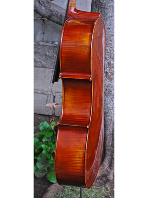 S. Callegari 'Gofriller 1693' Master Copy 4/4 Cello (A)