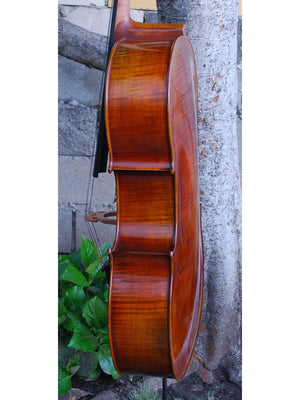 Vivo Eurowoods 7/8 Cello