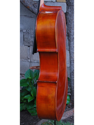 Albert Nebel model 601 'Guarneri del Gesu' - 4/4 Cello (A)