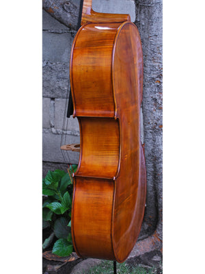 Eastman model 830 with Italian Poplar 4/4 Cello