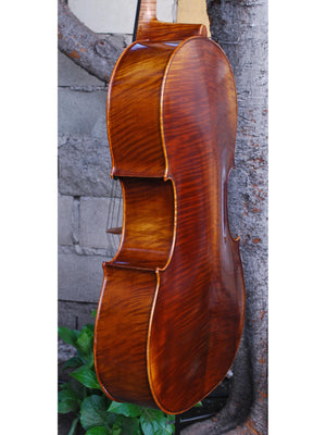 Scott Cao STC600 -  3/4 Cello Used