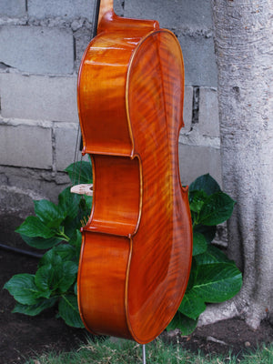 Eastman model 405 3/4 Cello