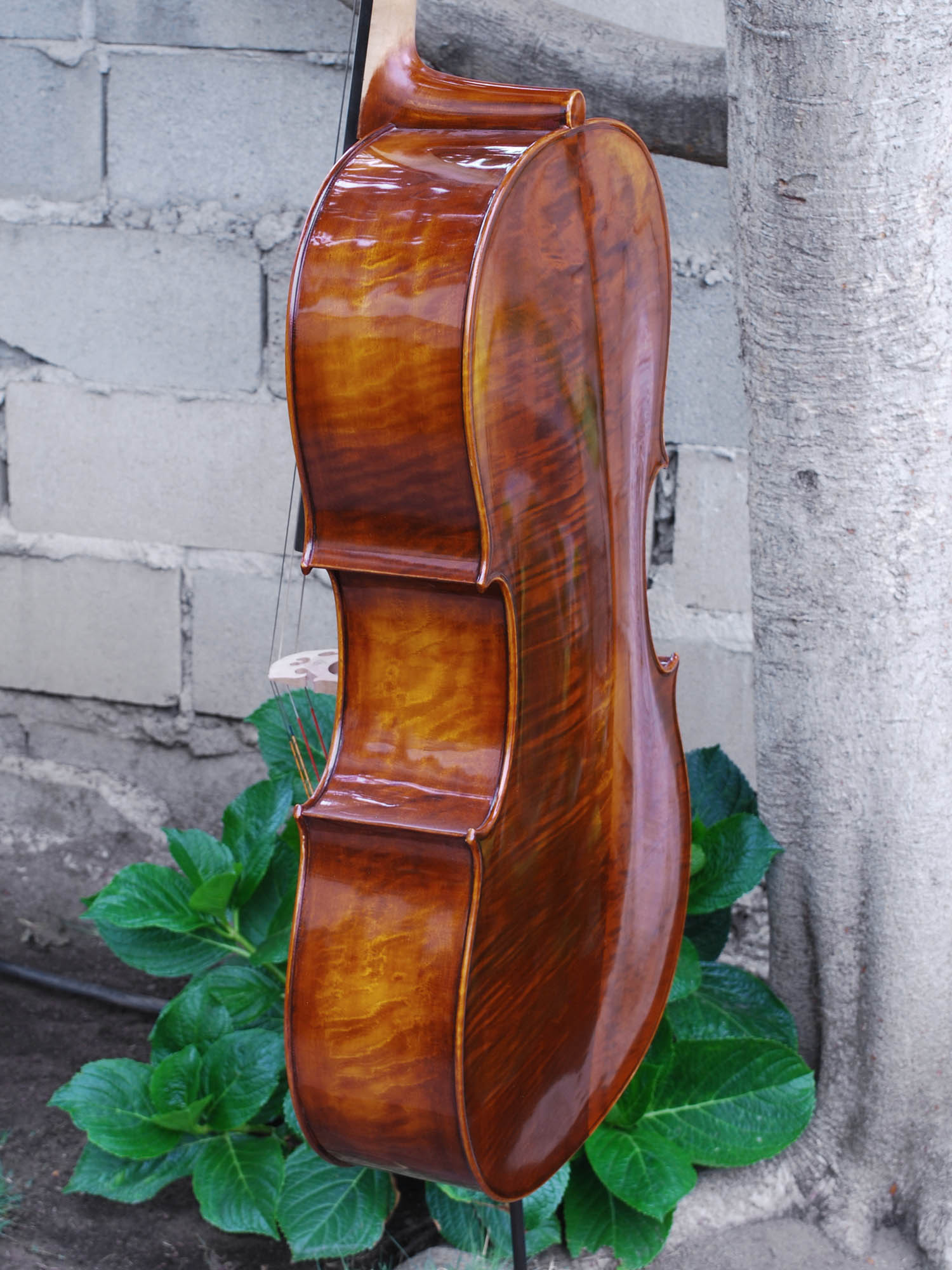 C.L. Wynn 520 'Rogeri' 4/4 Cello