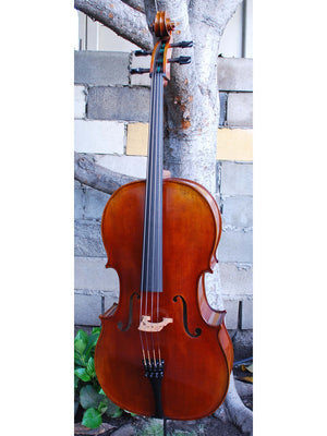 Vivo Eurowoods 7/8 Cello