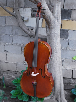 C.L. Wynn 620 'Strad' 4/4 Cello