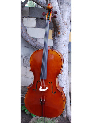 S. Callegari 'Gofriller 1693' Master Copy 4/4 Cello (A)