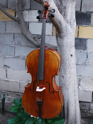 Johannes Seibert model 400 3/4 Cello