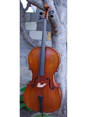 Eastman model 830 Maple 4/4 Cello