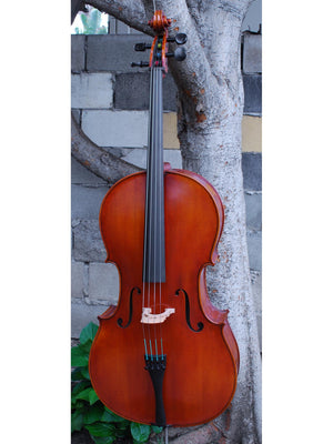 C.L. Wynn 620 'Strad' 7/8 Cello