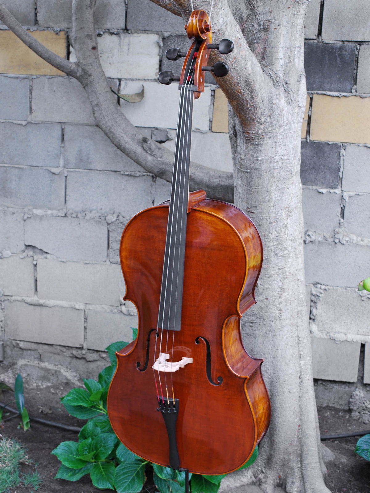 C.L. Wynn 520 'Rogeri' 4/4 Cello